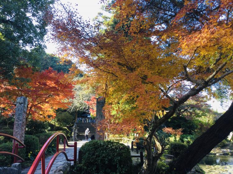 【週末おでかけ♪】11/18、19に予定されている福岡・佐賀イベント情報まとめ